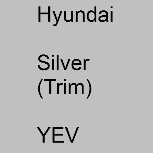 Hyundai, Silver (Trim), YEV.